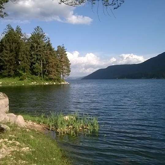 Бар Bar "Shik" | Сърница