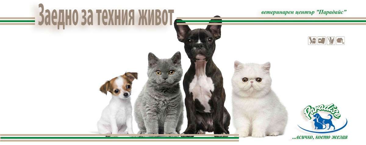 Болница ветеринарна клиника Парадайс | София