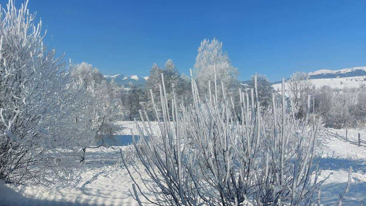 Хотел Rila View Chalets Белица