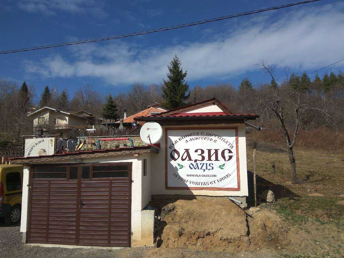 Хотел Вила Оазис Зелено дърво