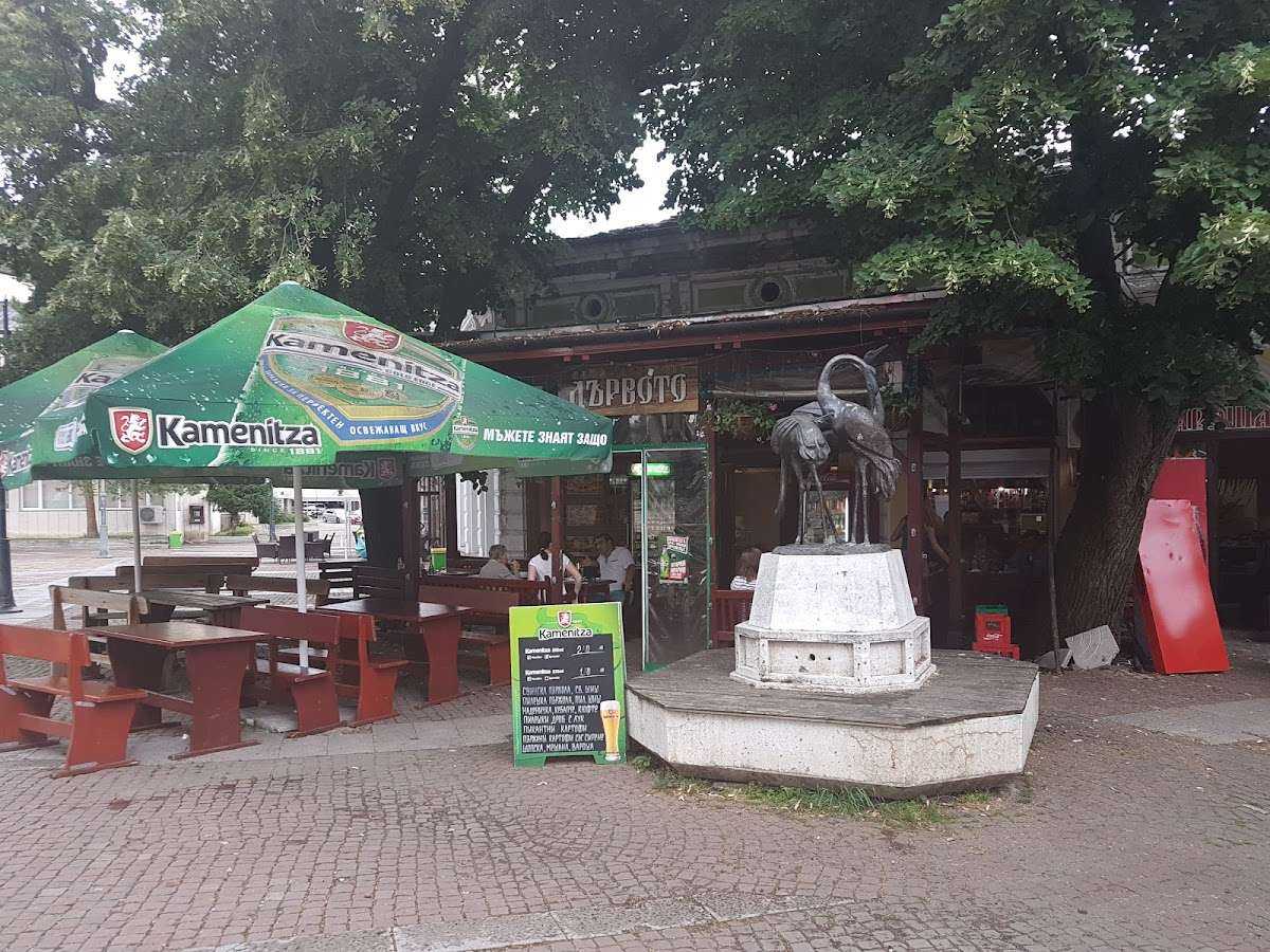 Кафе Дървото | Ловеч