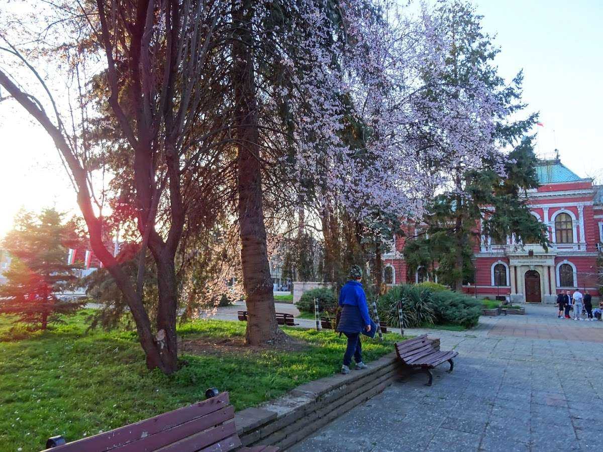 Парк City Park | Кюстендил