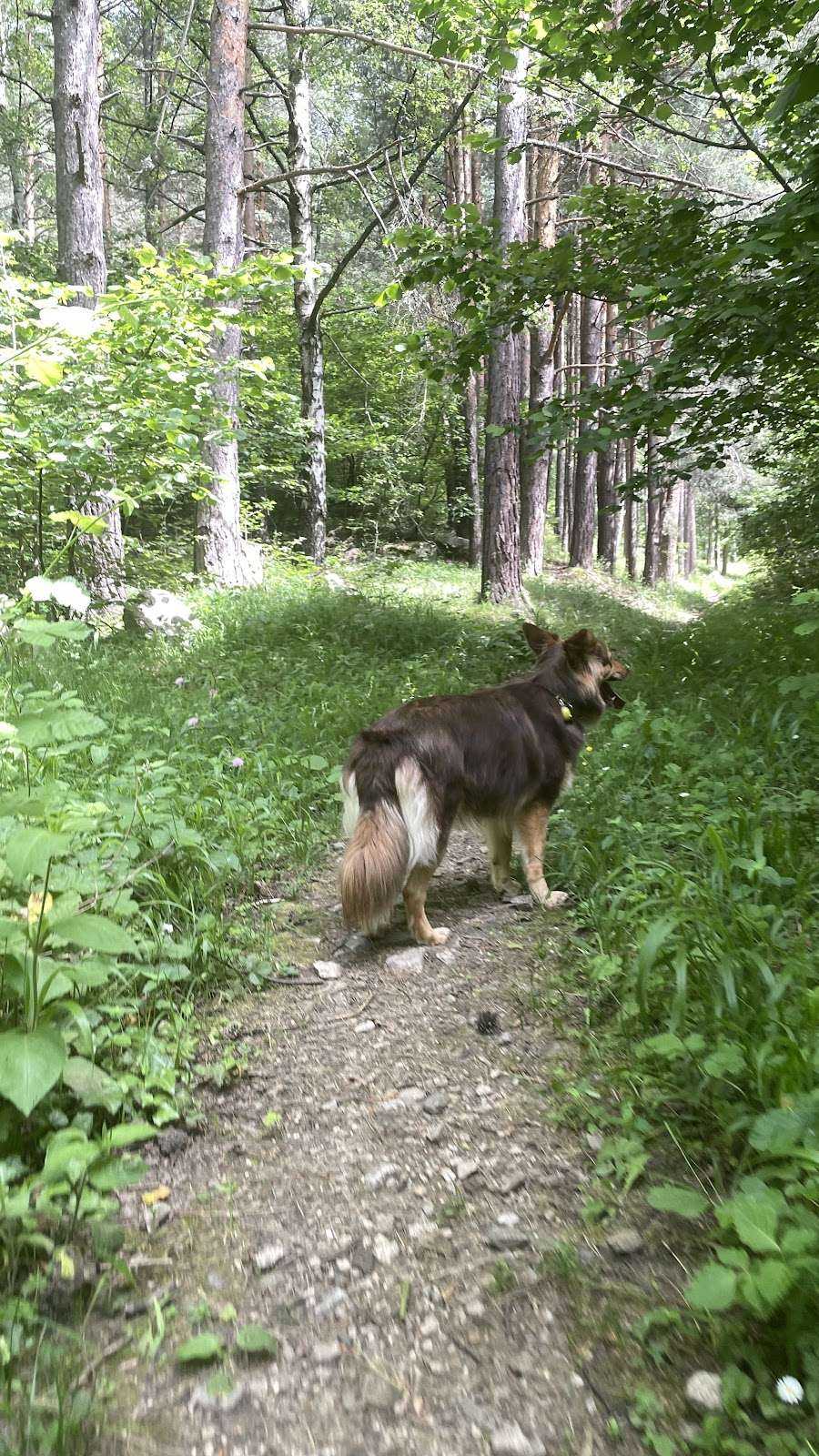 Парк Екопътека „Валявица | Сапарева баня