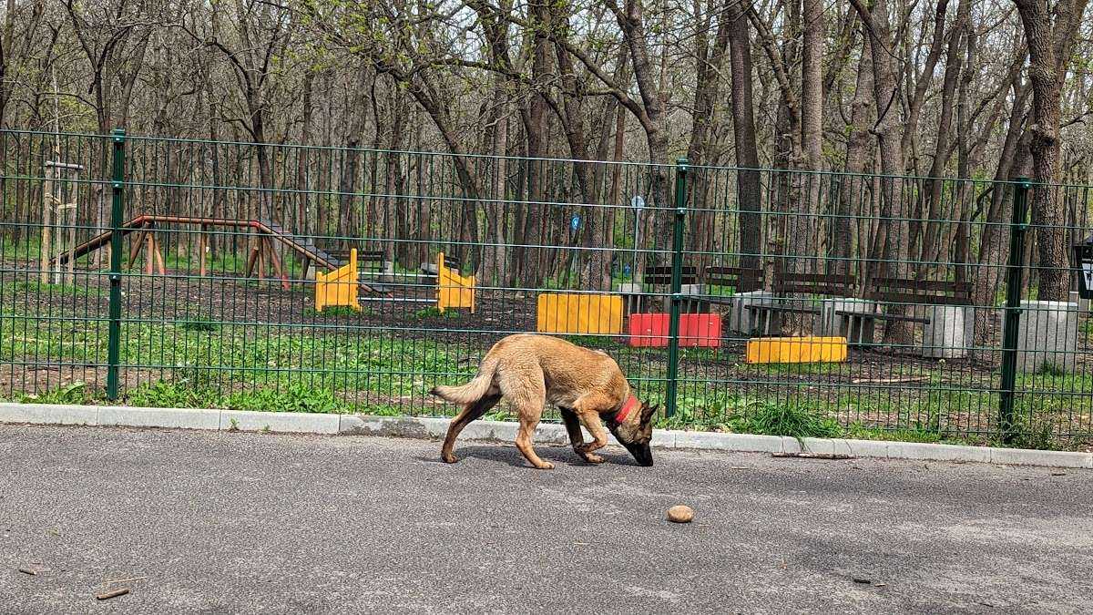 Парк Кучешки парк "Западен парк" София