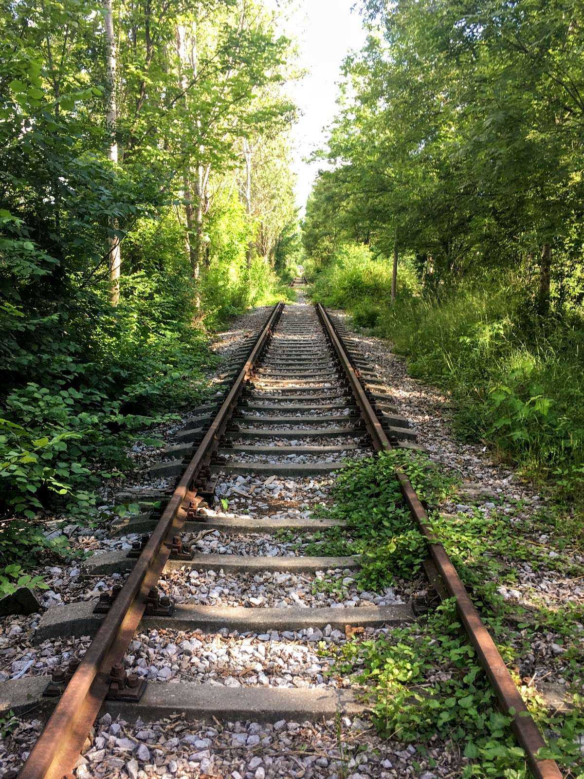 Парк Парк „Бял бор София