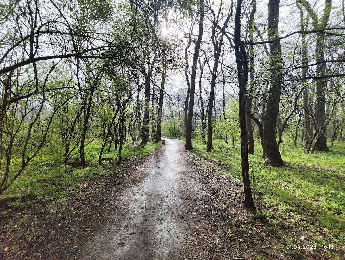 Парк Парк „Кошарите София