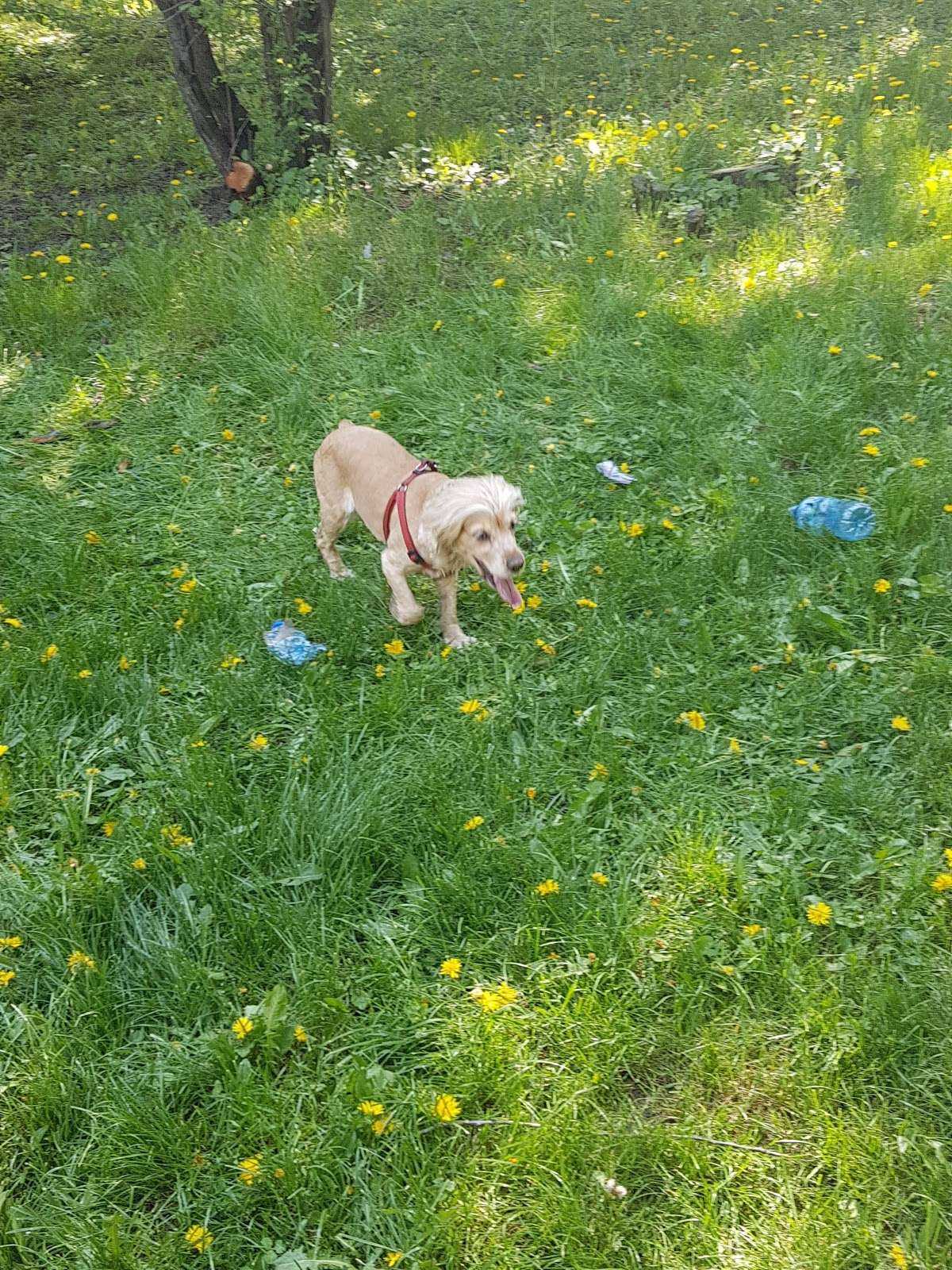 Парк парк „Робов дол София