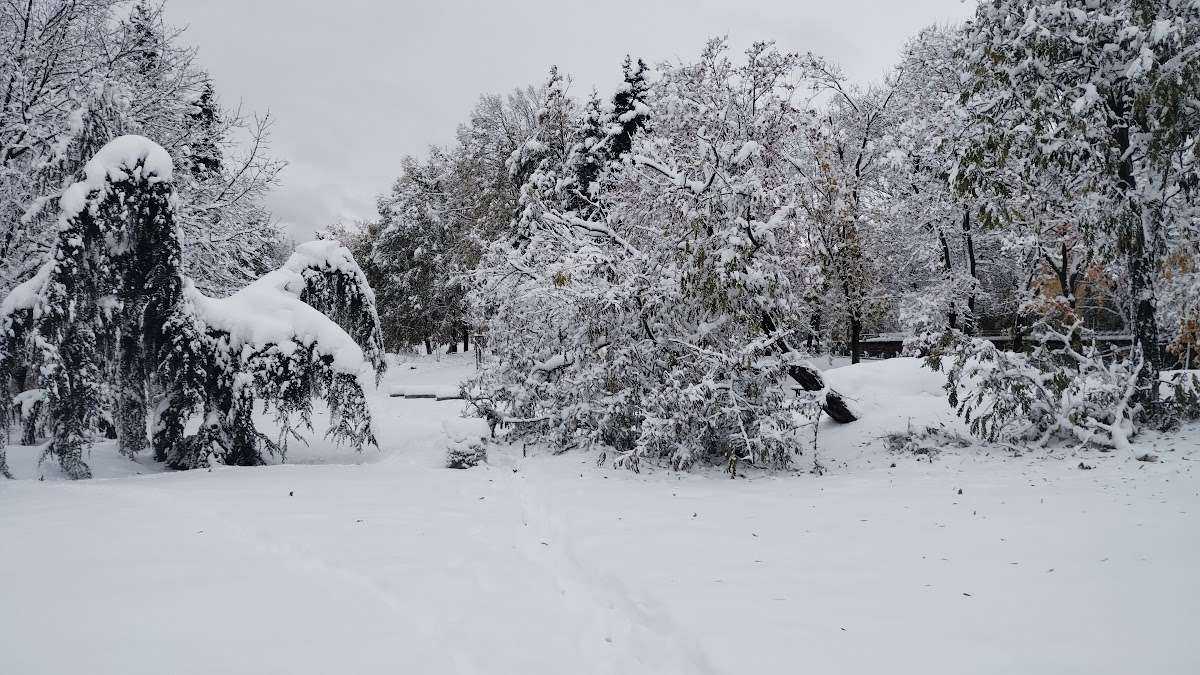 Парк Парк „Здраве София