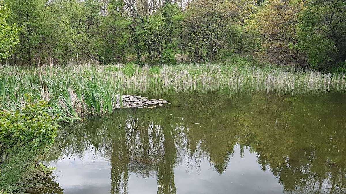 Парк Патешкото езеро София