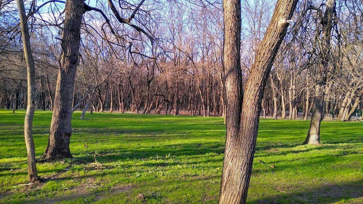 Парк Централен вход - Западен парк София