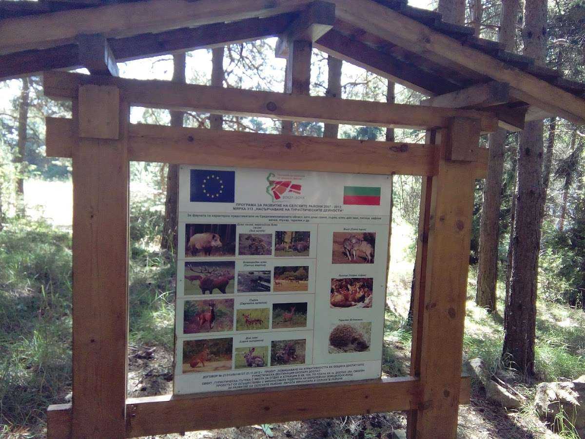 Супермаркет хранителен магазин "Здравец" | Доспат