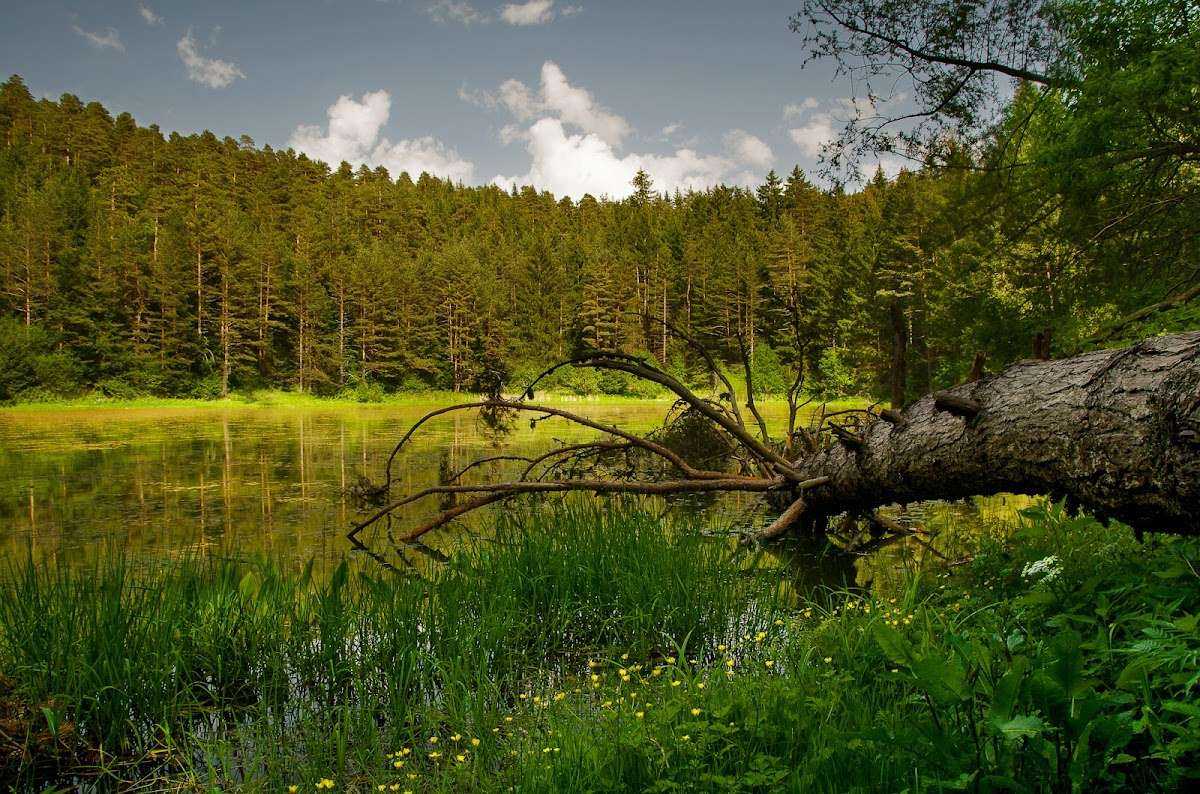 Забележителност Езеро Паничище | Сапарева баня