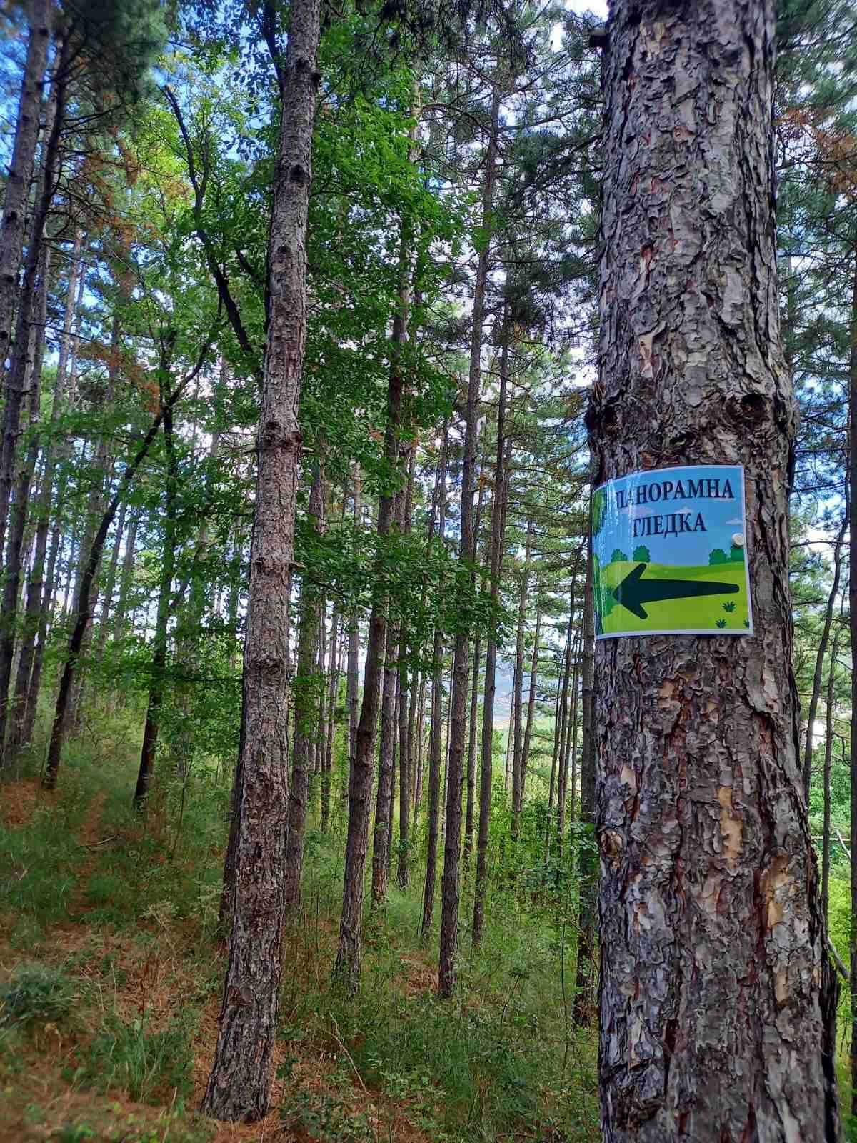 Забележителност Пътеката на Мечтите - Кричим | Кричим