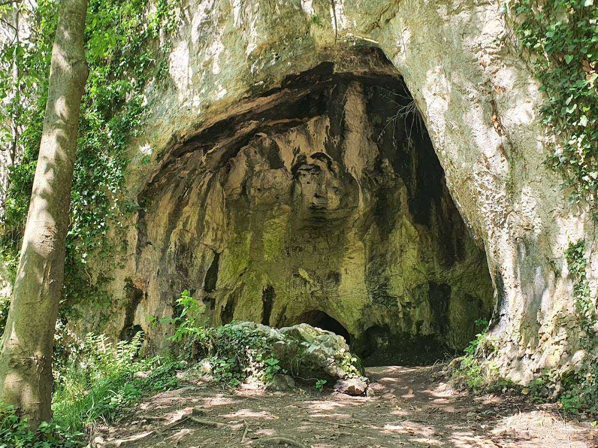 Забележителност Пещера "Темна дупка" | Луковит