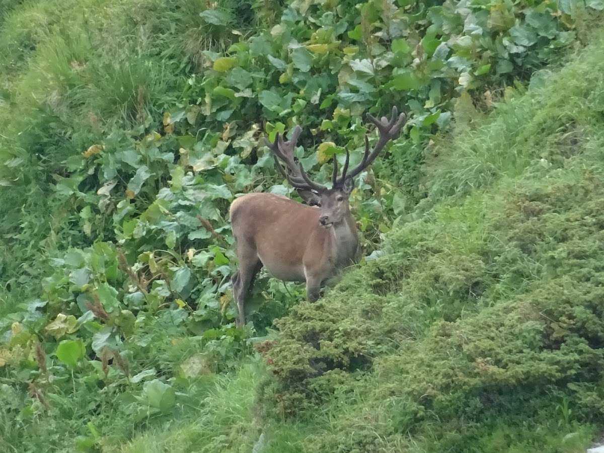 Природонаучен музей Черни Осъм Черни Осъм