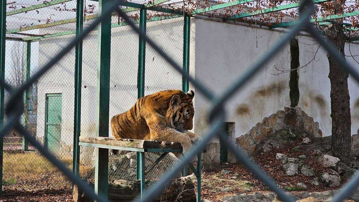 Забележителност Зоологическа градина Пазарджик Пазарджик